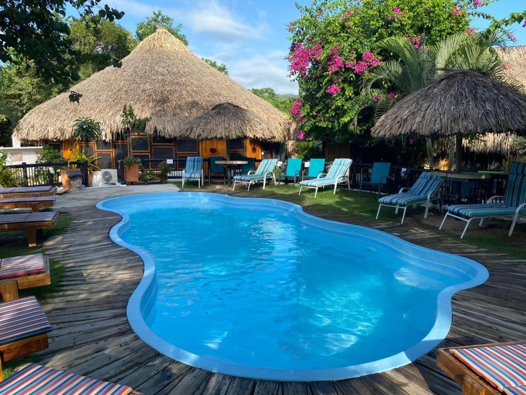Bikini Hotel & Pool Паломіно Екстер'єр фото
